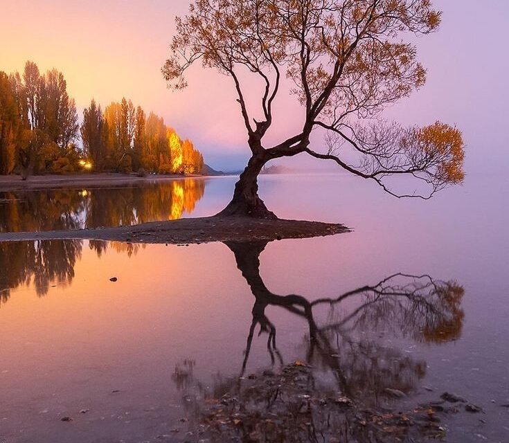 The Coach as a Mirror: Mastering Observation & Reflection